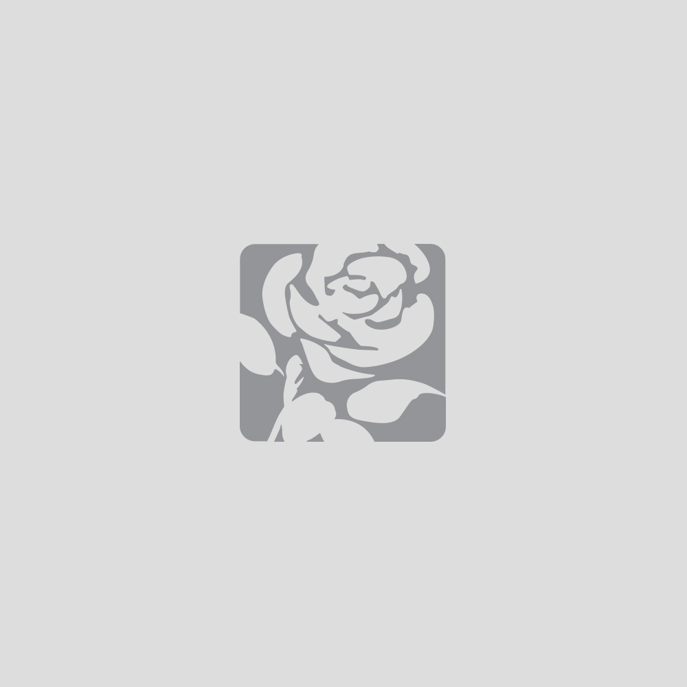 Default portrait for The Bromley & Biggin Hill Labour Team